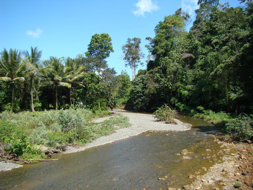 Puri Mas Osa Eco-Retreat Villa Barrigones Exterior photo